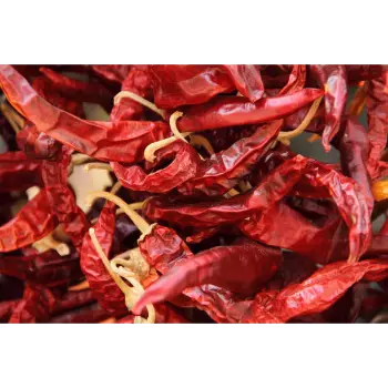  Fresh Guntur Dry Red Chilli